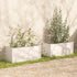 Jardinières 2 pcs Blanc 100x50x50 cm Bois de pin massif