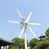 Éolienne génératrice avec contrôleur de charge 6 ou 8 pales